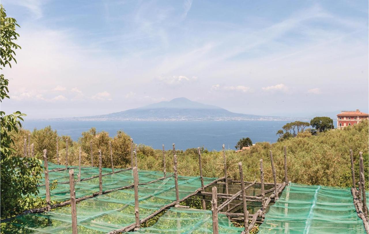 Villa La Limonaia Sorrento Eksteriør bilde